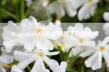 泰州中国金牌得了几枚金牌