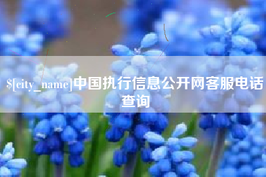 泰州中国执行信息公开网客服电话查询