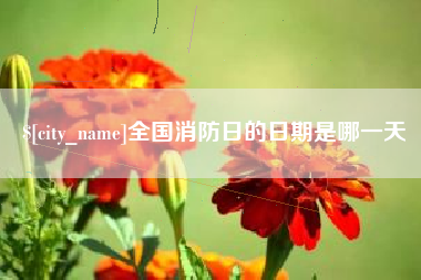 泰州全国消防日的日期是哪一天