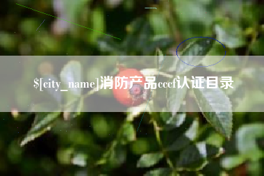 泰州消防产品cccf认证目录