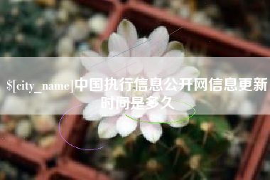 泰州中国执行信息公开网信息更新时间是多久