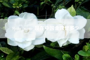 泰州现在中国金牌是多少