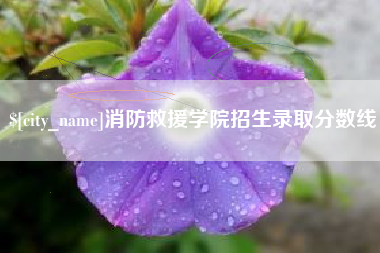 泰州消防救援学院招生录取分数线