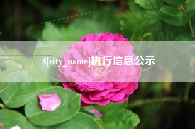 泰州执行信息公示