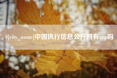 泰州中国执行信息公开网有app吗