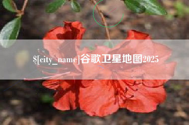 泰州谷歌卫星地图2025