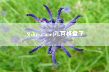 泰州九宫格盘子