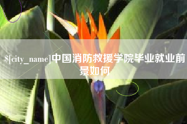 泰州中国消防救援学院毕业就业前景如何