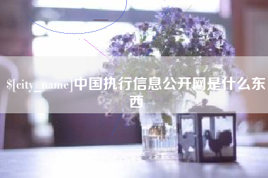 泰州中国执行信息公开网是什么东西
