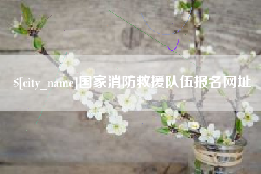 泰州国家消防救援队伍报名网址