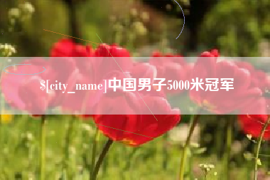 泰州中国男子5000米冠军
