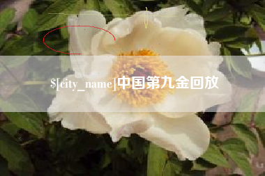 泰州中国第九金回放