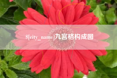 泰州九宫格构成图