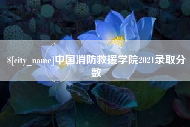 泰州中国消防救援学院2021录取分数