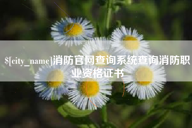 泰州消防官网查询系统查询消防职业资格证书