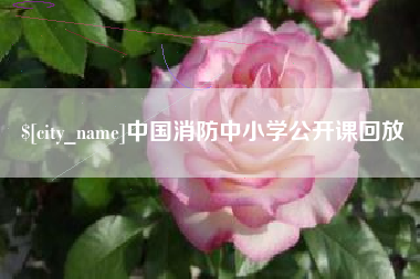 泰州中国消防中小学公开课回放
