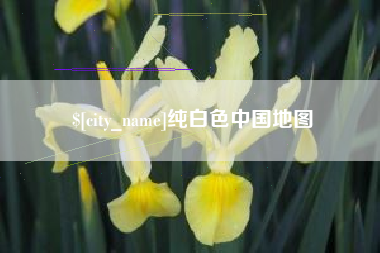泰州纯白色中国地图