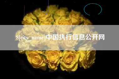泰州中国执行信息公开网