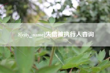泰州失信被执行人杳询