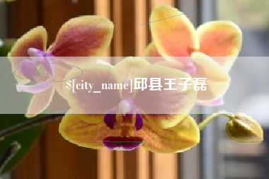 泰州邱县王子磊