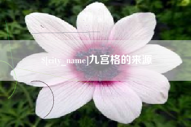 泰州九宫格的来源