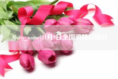 泰州11月9日全国消防日图片