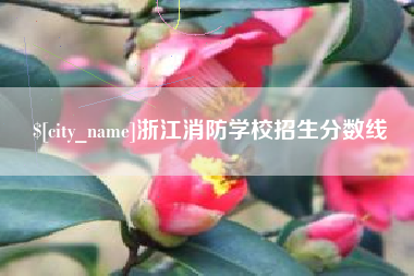 泰州浙江消防学校招生分数线