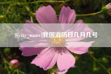 泰州我国消防日几月几号