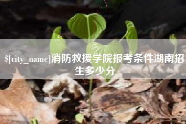 泰州消防救援学院报考条件湖南招生多少分