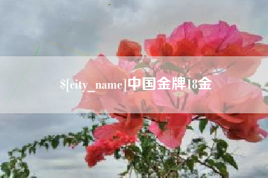 泰州中国金牌18金