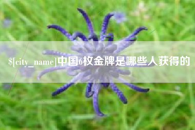 泰州中国6枚金牌是哪些人获得的