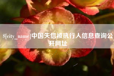 泰州中国失信被执行人信息查询公开网址