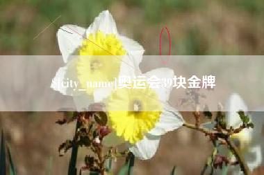 泰州奥运会39块金牌
