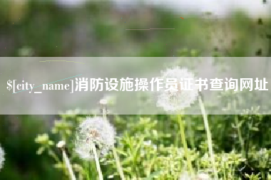 泰州消防设施操作员证书查询网址