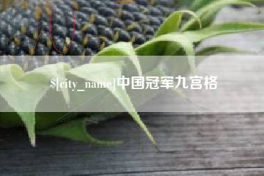 泰州中国冠军九宫格