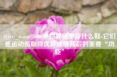 泰州5000米世界冠军穿什么鞋-它们是运动员取得优异成绩背后的重要“功臣”