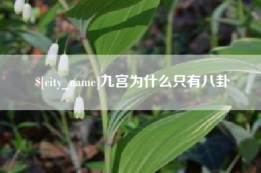 泰州九宫为什么只有八卦