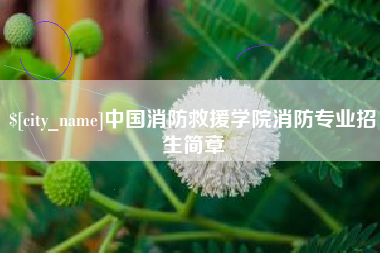 泰州中国消防救援学院消防专业招生简章