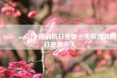 泰州全国消防日是哪一天宣传消防日是哪一天