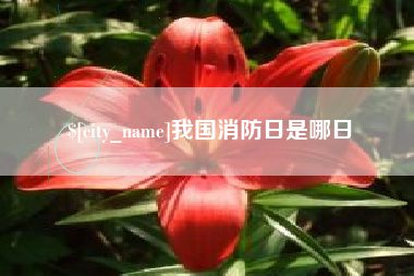 泰州我国消防日是哪日