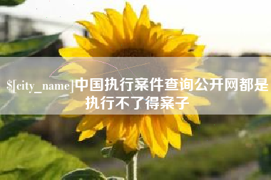 泰州中国执行案件查询公开网都是执行不了得案子