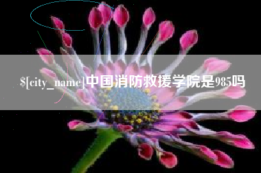 泰州中国消防救援学院是985吗