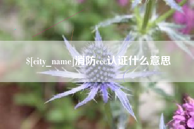 泰州消防ccc认证什么意思