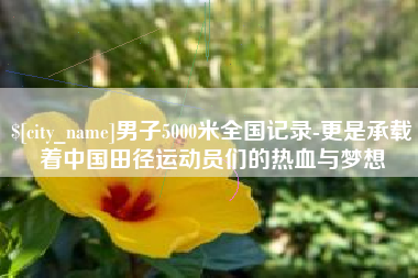 泰州男子5000米全国记录-更是承载着中国田径运动员们的热血与梦想