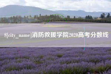 泰州消防救援学院2020高考分数线