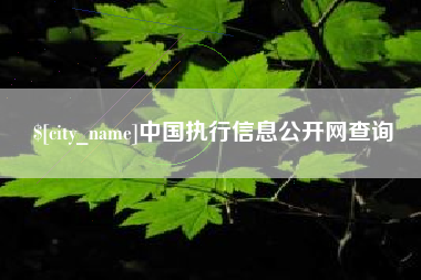 泰州中国执行信息公开网查询
