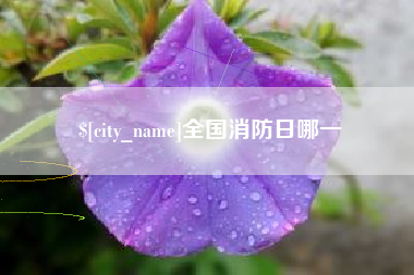 泰州全国消防日哪一