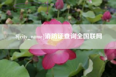 泰州消防证查询全国联网