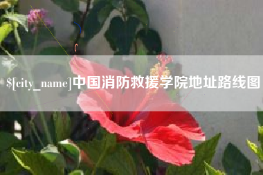 泰州中国消防救援学院地址路线图