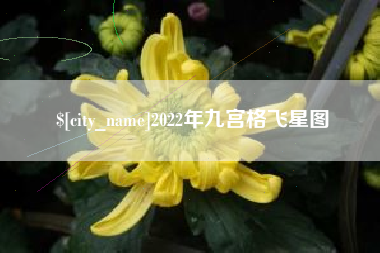 泰州2022年九宫格飞星图